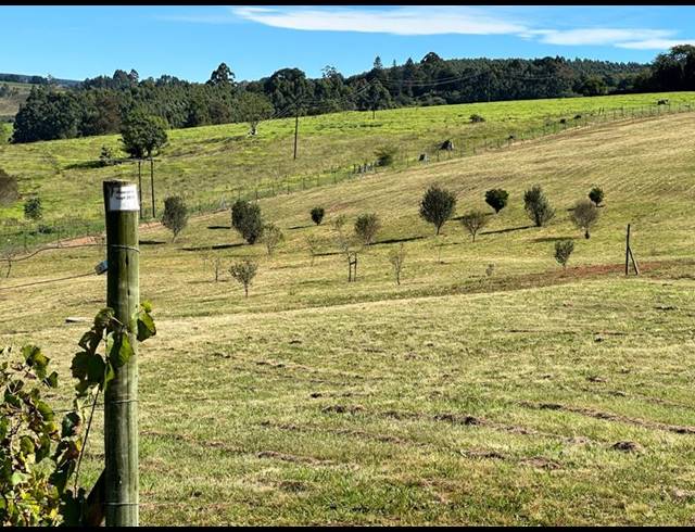 LAND FOR SALE IN DARGLE